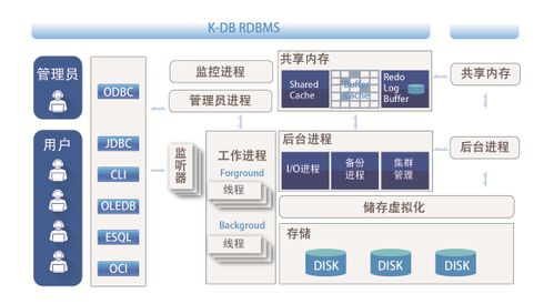 海關扣貨別慌張，數據支持來護航