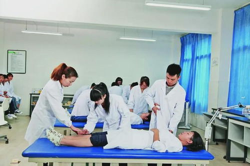 專業導航 中醫養生保健專業